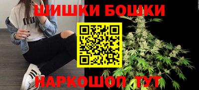 СК Новозыбков