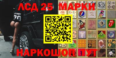 гидра Новокубанск