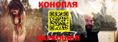 СК Новозыбков