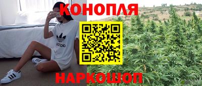 СК Новозыбков