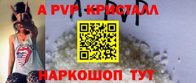 СК Новозыбков