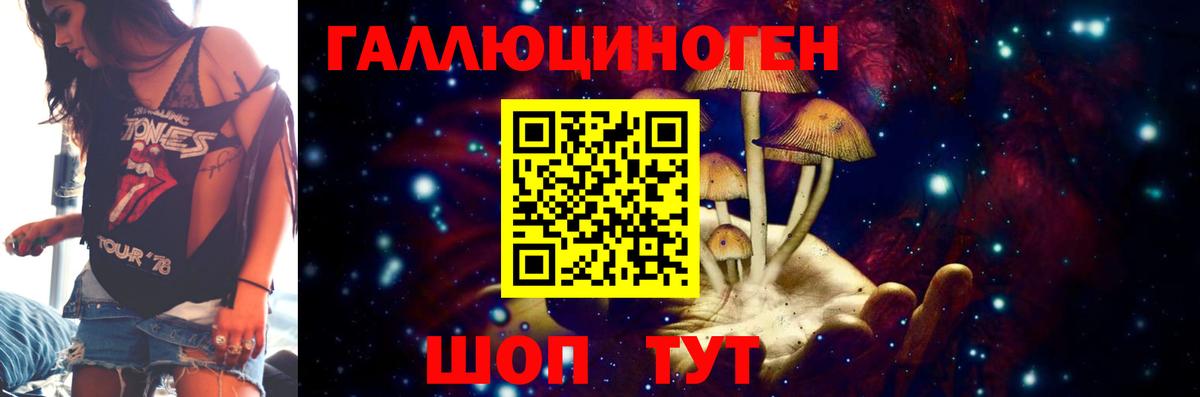 Новороссийск  Псилоцибиновые грибы GOLDEN TEACHER  Вход с VPN 
